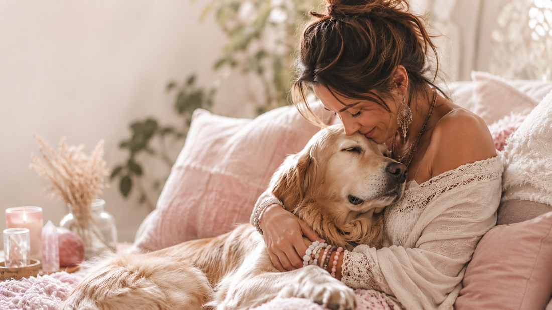 The Quiet Lessons Dogs Teach Us Every Day