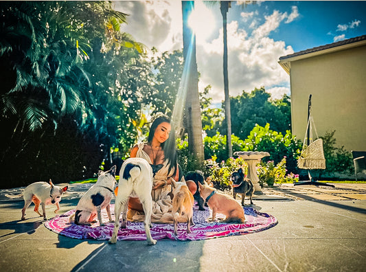 How Dogs Help Us Heal and Find Ourselves