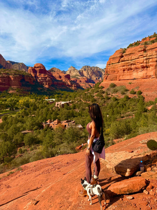 Why Dogs Mirror Our Healing (And How We Heal Each Other)