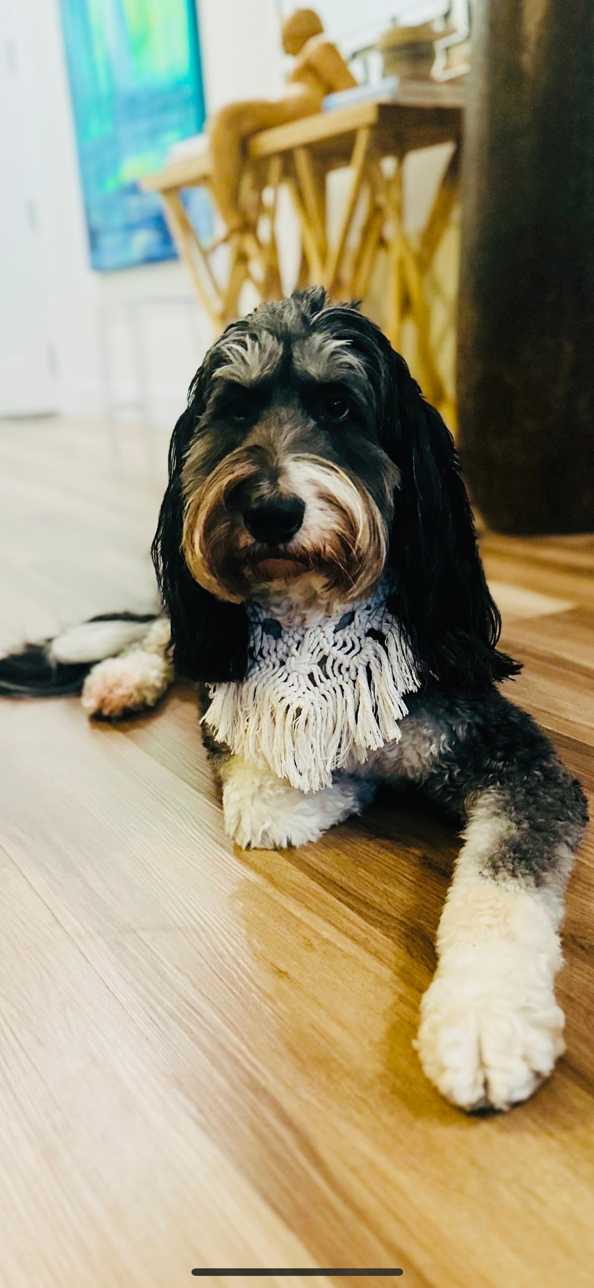 Vintage handmade macrame dog bandana boho style – Sacred Pup