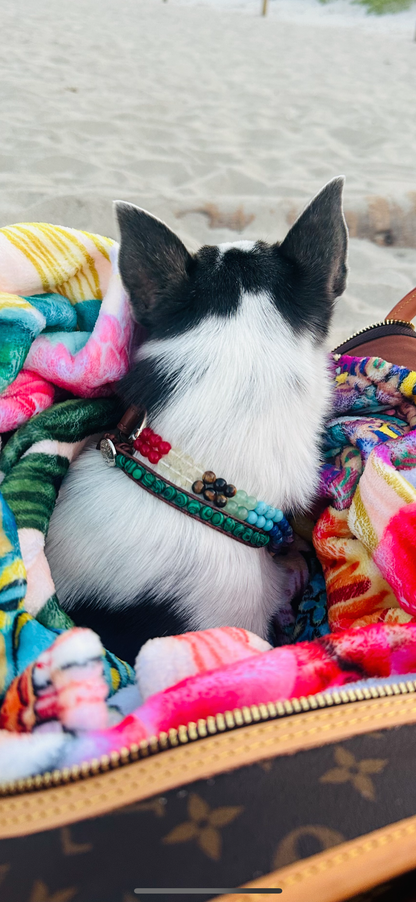 Malachite gemstone dog collar with Tree of Life charm – Sacred Pup