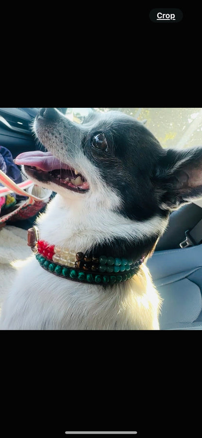 Malachite gemstone dog collar with Tree of Life charm – Sacred Pup