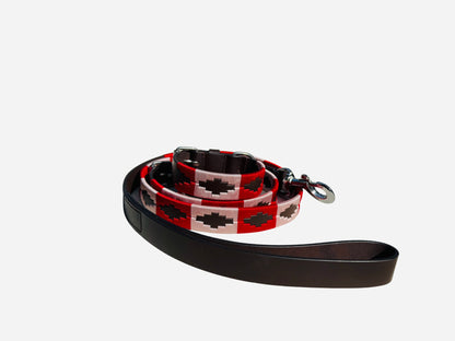 Patagonia Collection- Pink & Red Set