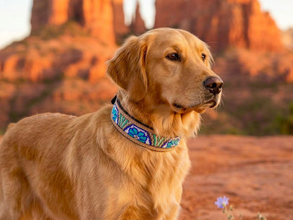Sedona Bloom Sacred Collar