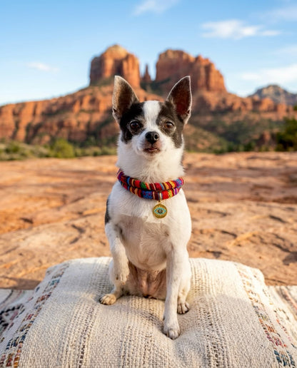 Gypsy Heart Dog Necklace