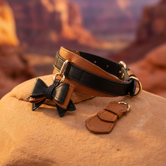 The Belmont Leather Dog Collar