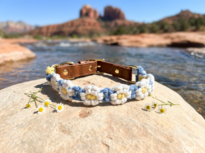 Daisy Days Macrame Collection | Pink & Blue