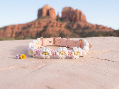 Daisy Days Macrame Collection | Pink & Blue