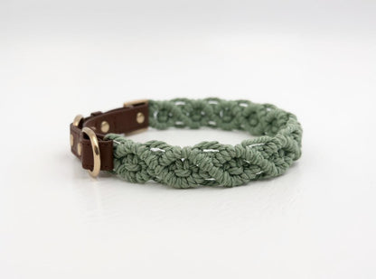 Sage earthy green handmade macrame dog collar boho accessory – Sacred Pup