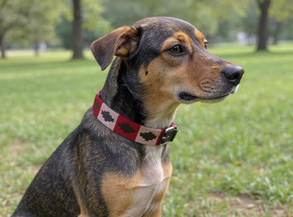 Pink & Red hand embroidered leather dog collar boho style - Sacred Pup