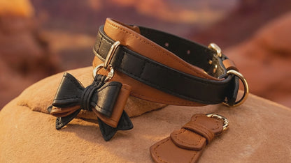 The Belmont Leather Dog Collar